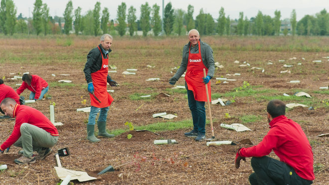 221010 - Nova Conad_1.16.1.jpg